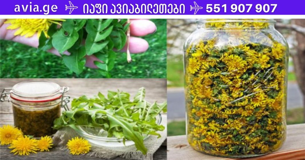 Folktips.org - 2022-10-16T210856.646